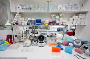 Рабочий стол в лаборатории химии РНК