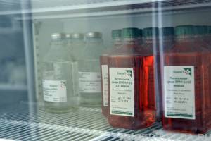 Красная жидкость — питательная среда для взращивания клеточных линий